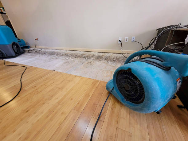 Professional Water Removal technician working in Townville, PA